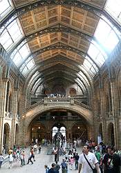 national history museum
